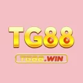 2tg88 com – Tải App Tg88 Tặng Thêm Thưởng 50k Trải Nghiệm